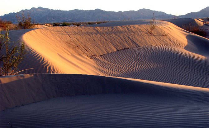 Dunes Scenic