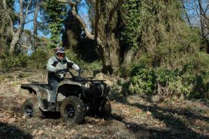 griz700 action1
