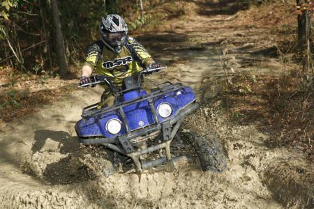 bigbear_8935