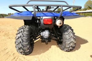 bigbear_6971