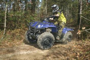 bigbear_8960