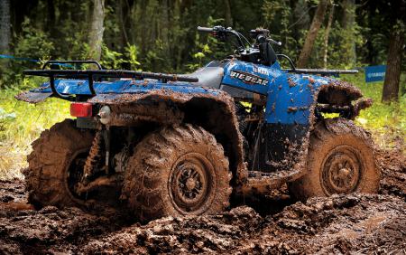 bigbear_mud_still