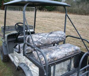 buggy2.jpg