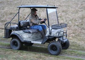 buggy3.jpg
