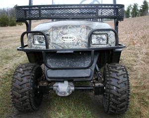 buggy4.jpg