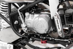2011 Pitster Pro FXR 125R Engine