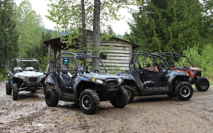 Cougar Mountain RZR Ride