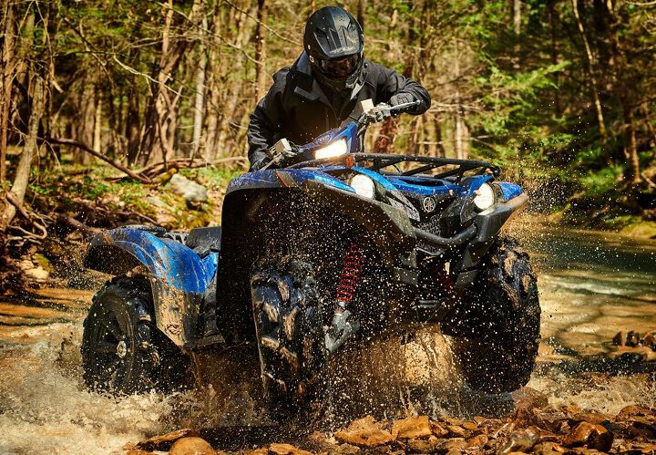 Yamaha Grizzly SE Action