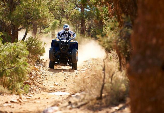 2014 Yamaha Grizzly 700 EPS Action
