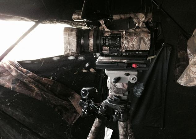 Camera in Ground Blind