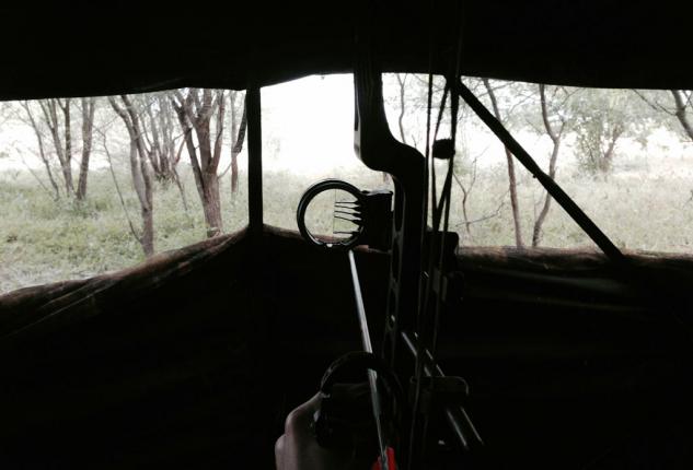View From Ground Blind