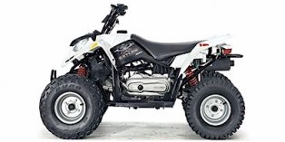 Carburetor Carb w/Filter for Polaris Outlaw 50 Outlaw 90 Sportsman 90 ATV Quad 