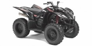 2007 Yamaha Wolverine® 450 4x4 Special Edition